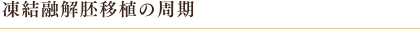 凍結融解胚移植の周期